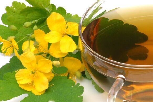 Chelidonium infusion for the treatment of prostatitis